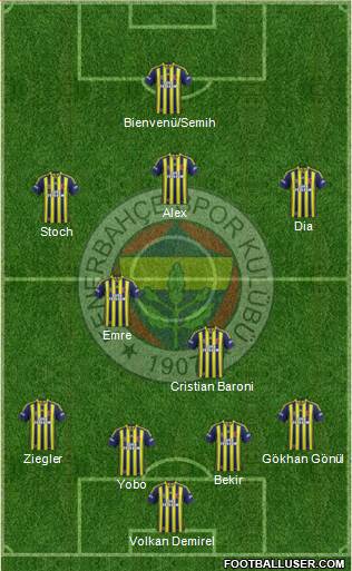 Fenerbahçe SK Formation 2014