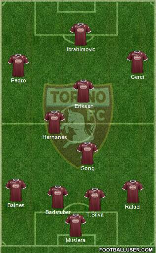 Torino Formation 2014