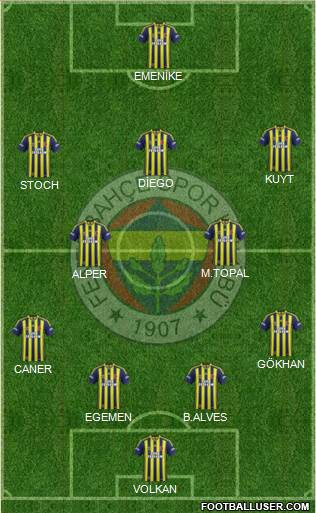 Fenerbahçe SK Formation 2014