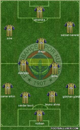 Fenerbahçe SK Formation 2014