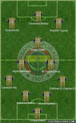 Fenerbahçe SK Formation 2014