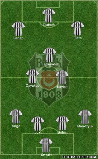 Besiktas JK Formation 2014