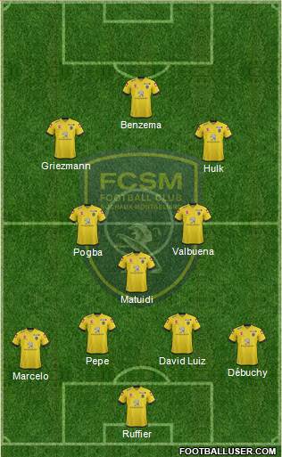 FC Sochaux-Montbéliard Formation 2014