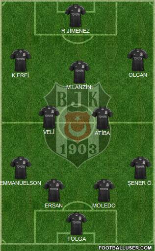 Besiktas JK Formation 2014