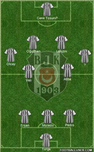 Besiktas JK Formation 2014
