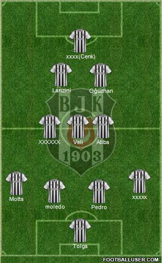 Besiktas JK Formation 2014