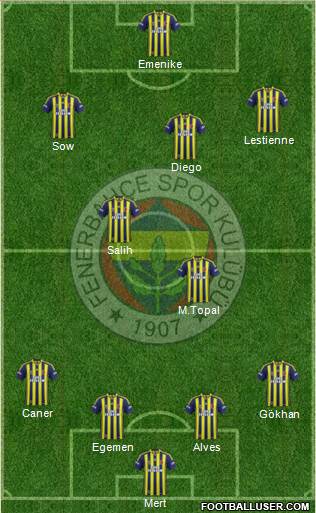 Fenerbahçe SK Formation 2014