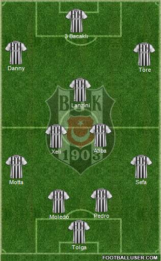 Besiktas JK Formation 2014