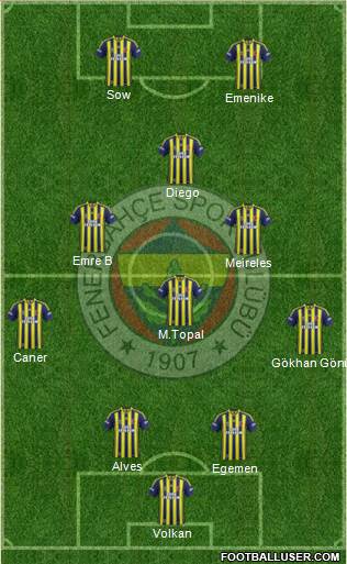 Fenerbahçe SK Formation 2014