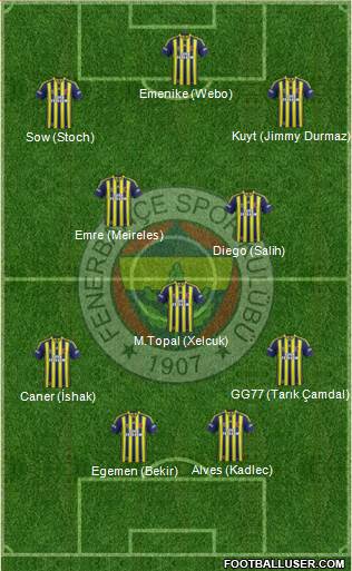 Fenerbahçe SK Formation 2014