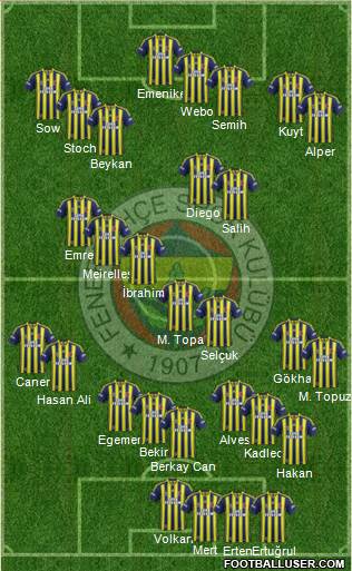 Fenerbahçe SK Formation 2014