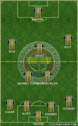 Fenerbahçe SK Formation 2014