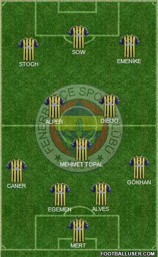 Fenerbahçe SK Formation 2014