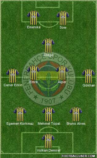 Fenerbahçe SK Formation 2014