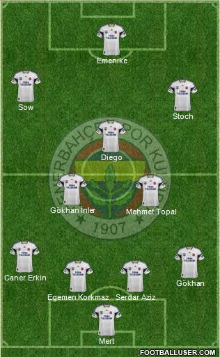 Fenerbahçe SK Formation 2014