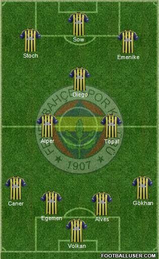 Fenerbahçe SK Formation 2014