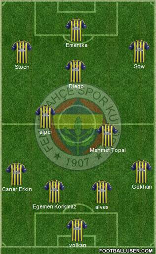 Fenerbahçe SK Formation 2014