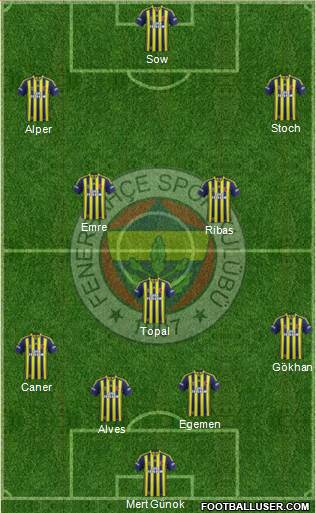 Fenerbahçe SK Formation 2014