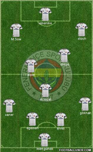 Fenerbahçe SK Formation 2014