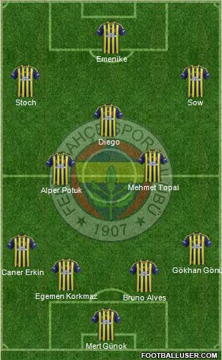 Fenerbahçe SK Formation 2014