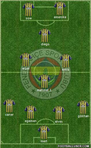Fenerbahçe SK Formation 2014