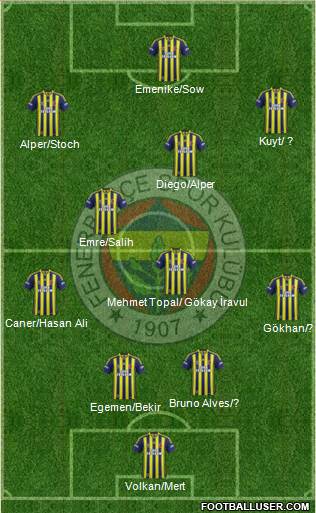 Fenerbahçe SK Formation 2014