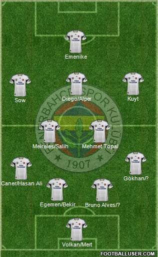 Fenerbahçe SK Formation 2014