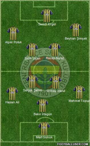Fenerbahçe SK Formation 2014
