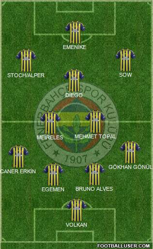 Fenerbahçe SK Formation 2014