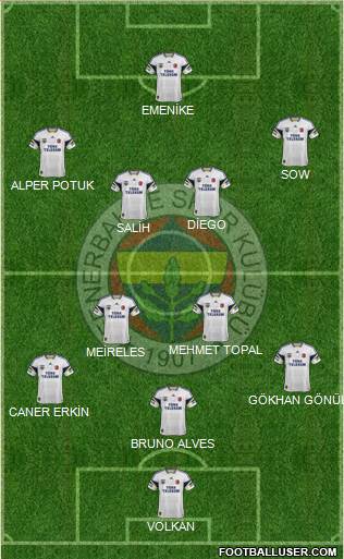 Fenerbahçe SK Formation 2014