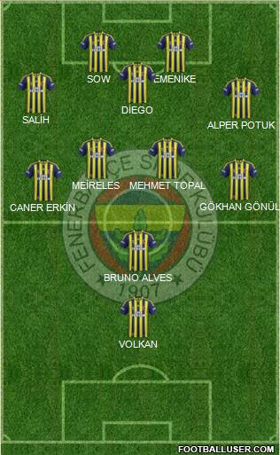 Fenerbahçe SK Formation 2014