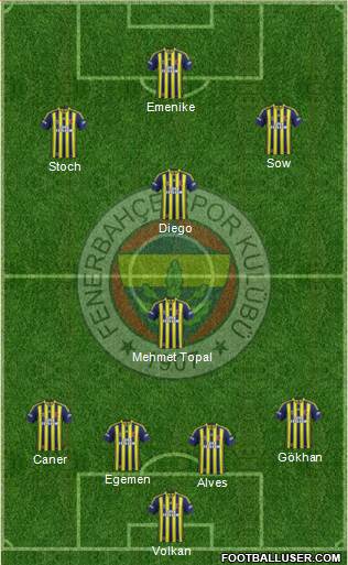 Fenerbahçe SK Formation 2014