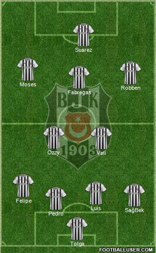 Besiktas JK Formation 2014