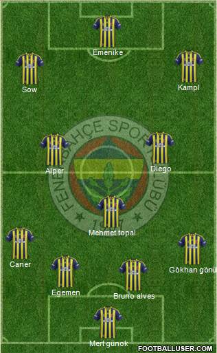 Fenerbahçe SK Formation 2014