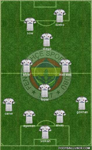 Fenerbahçe SK Formation 2014