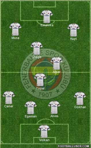 Fenerbahçe SK Formation 2014