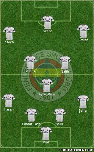 Fenerbahçe SK Formation 2014