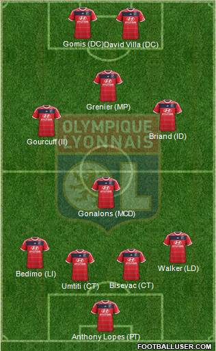 Olympique Lyonnais Formation 2014