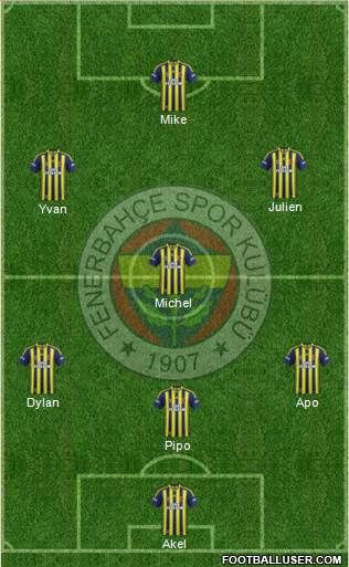 Fenerbahçe SK Formation 2014