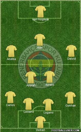 Fenerbahçe SK Formation 2014