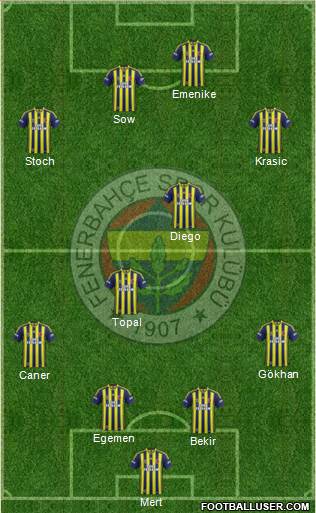 Fenerbahçe SK Formation 2014