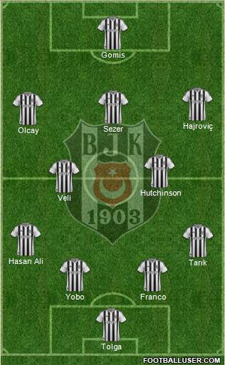 Besiktas JK Formation 2014