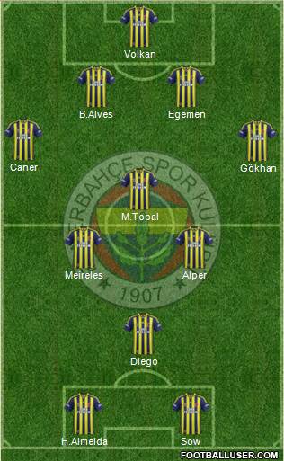 Fenerbahçe SK Formation 2014