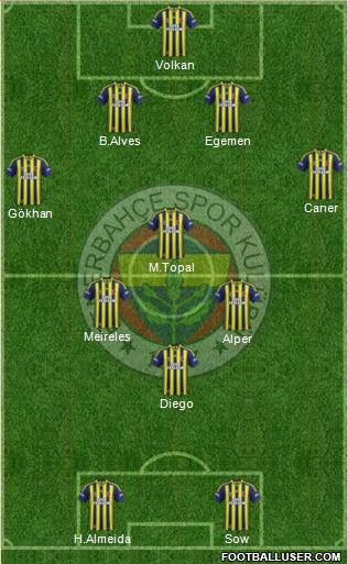Fenerbahçe SK Formation 2014