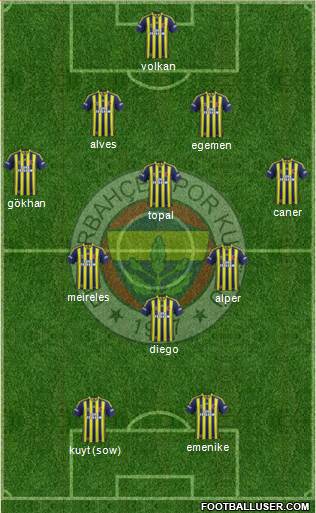 Fenerbahçe SK Formation 2014