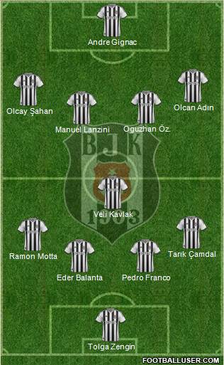 Besiktas JK Formation 2014
