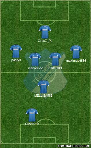 TSG 1899 Hoffenheim Formation 2014