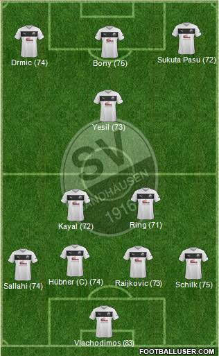 SV Sandhausen Formation 2014