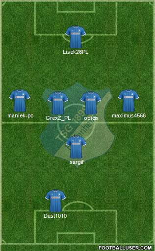 TSG 1899 Hoffenheim Formation 2014