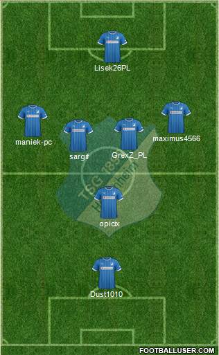 TSG 1899 Hoffenheim Formation 2014